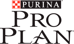 pro plan